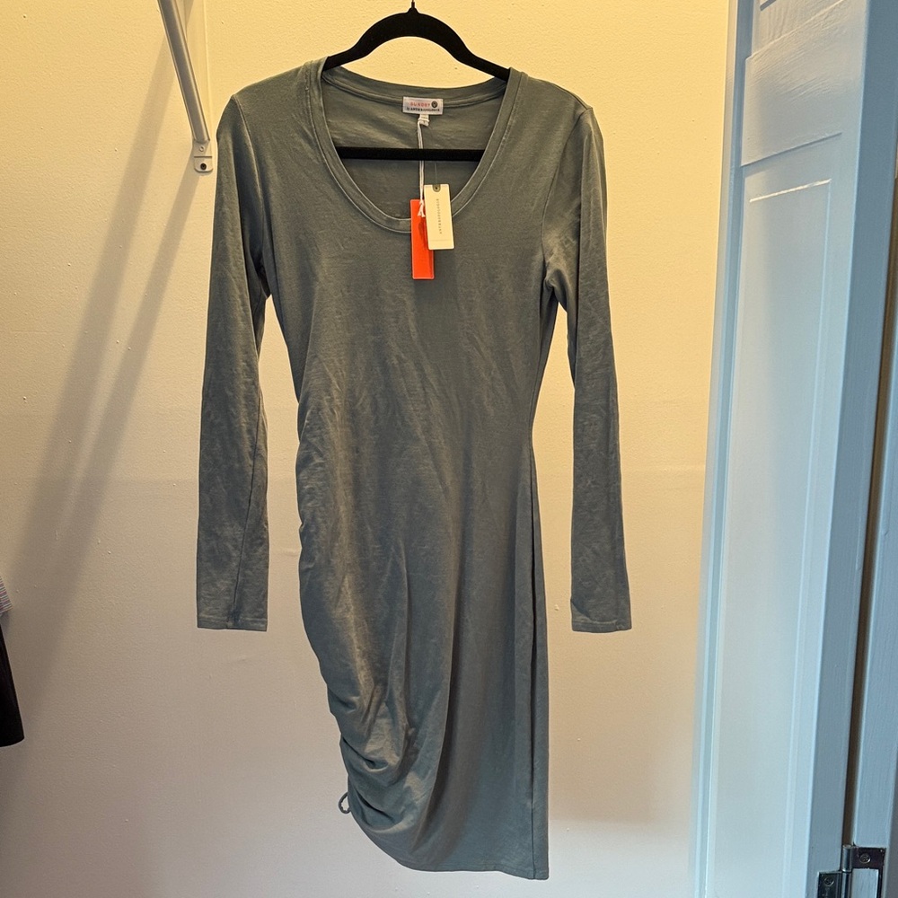 Sundry Sage Long Sleeve Dress